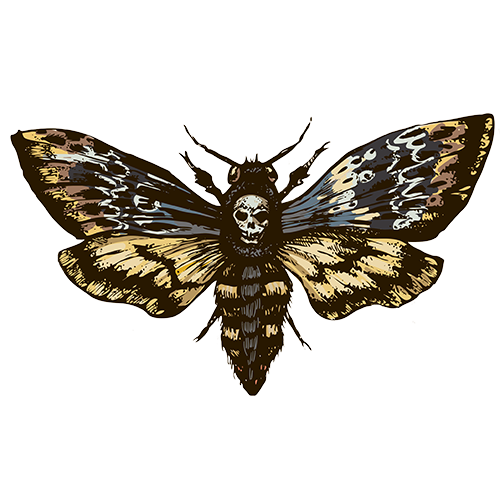 Dr Jin Ong death moth motif