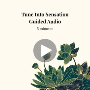 tuning into sensation grounding audio