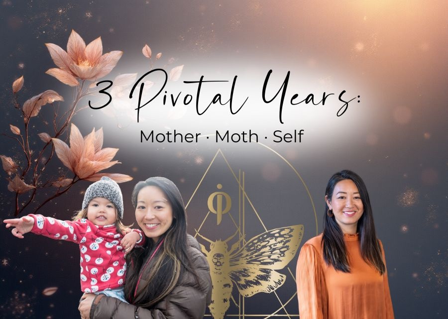 thrive convertpro images 6