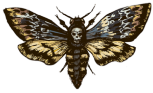 death moth coloured