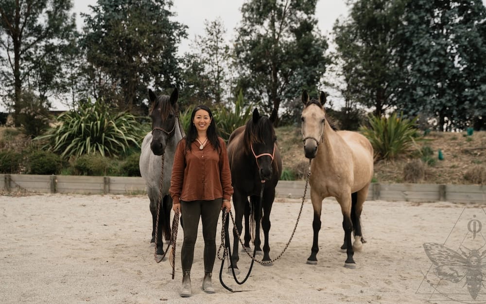 ponies pins and tonic retreat.jpg
