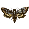 Dr Jin Ong death moth motif Dr Jin Ong death moth motif